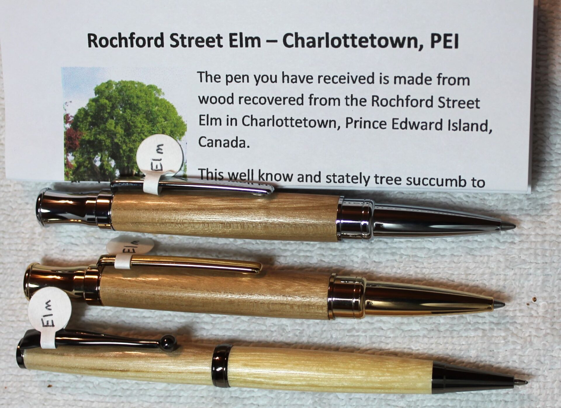 Pen - Fiona Rochford Street Elm Pen