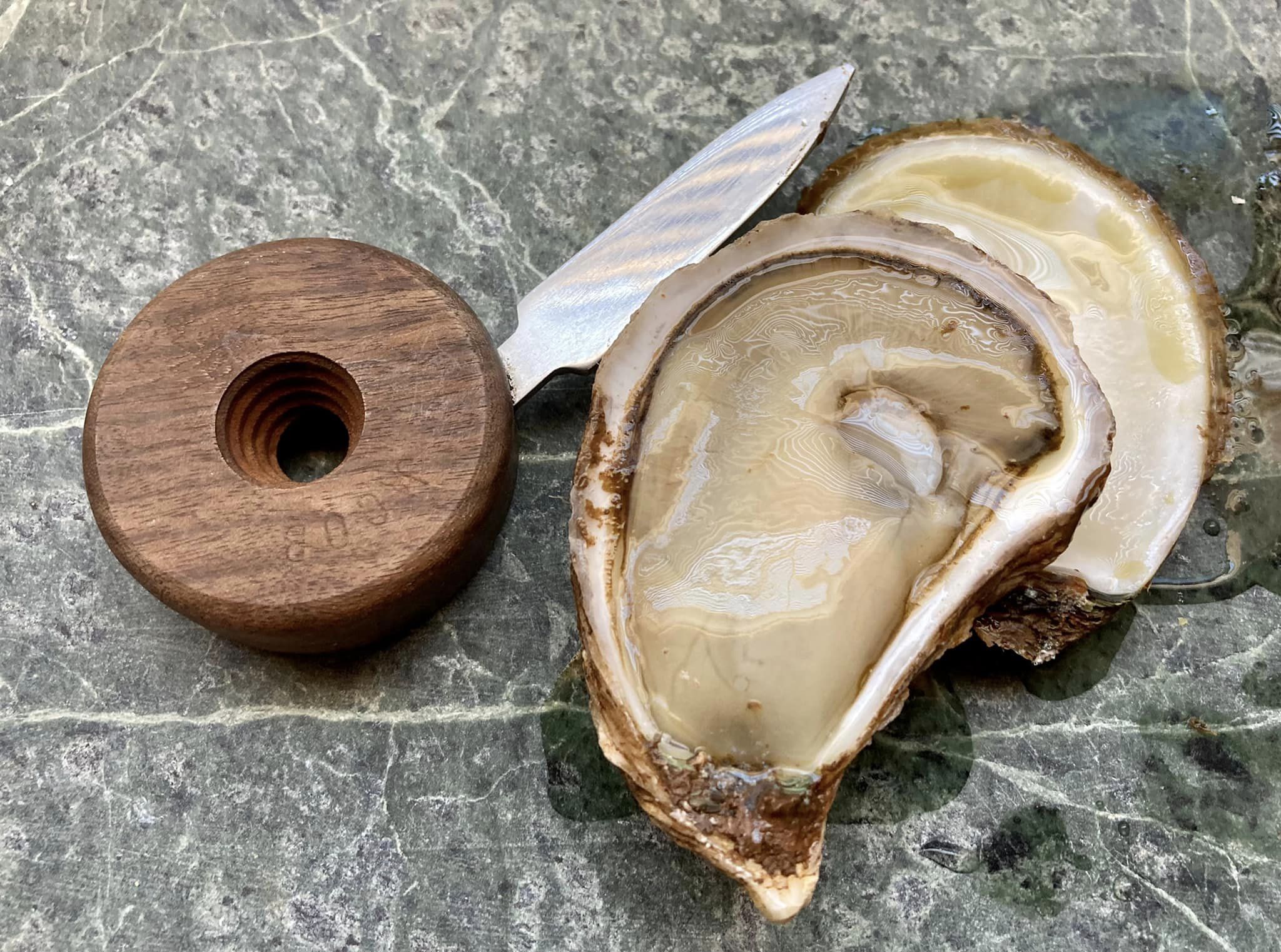 Banjo Oyster Knife - Image 2