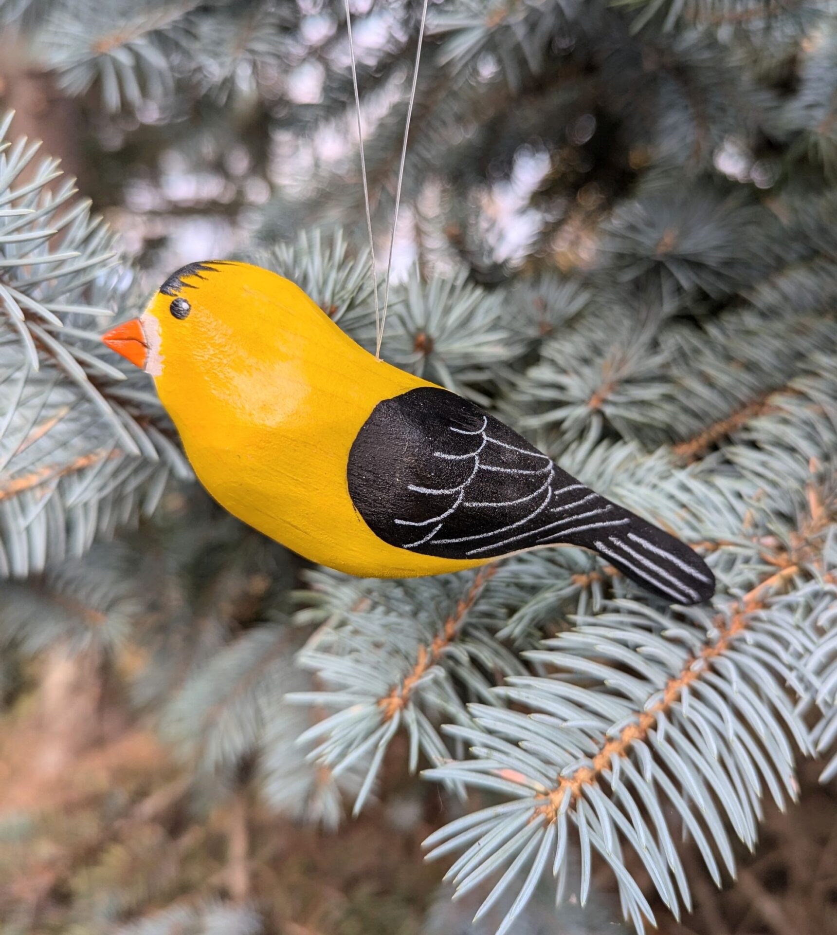 2025 Bird of the Year - Goldfinch